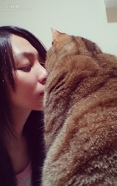 8.在台北生活最大的依靠就是愛貓「黑糖」。