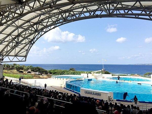 日本沖繩（圖／sammi提供）