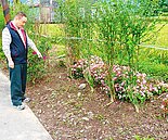 花蓮富源　最美麗社區招採花賊