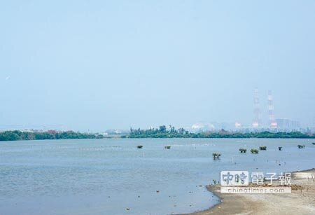 台電公司計畫在永安溼地北側擴廠增建燃氣機組,永安溼地是否保留成為各界關切議題。(郭韋綺攝)