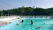 好狗命　這家旅館給狗300坪專用大泳池