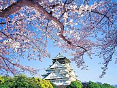 清明連假10大熱門旅遊地　日韓不敗、美國入列