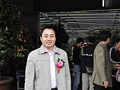 入山賞鄉花　寶山茶花綻放