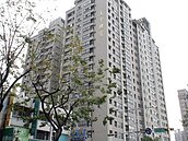 東森房屋：11月台中房市成長5%　明年續漲