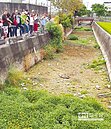 大湖圳布滿牛屎　民眾糞怒