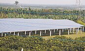 光電設施未從事農作　雲嘉12件撤照
