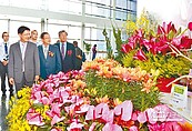 2020世界蘭花展覽與會議　花落台中