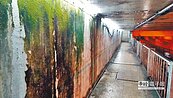 恐怖!西大路地下道淹水　議員連署整修