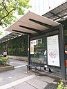 北市公車候車亭禁菸　竟然「有屋簷才禁」