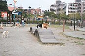 台中寵物公園要自然　將改闢大草地