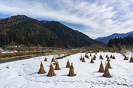 收割後的稻草集成一束，作為未來修補茅葺屋頂之用。在每年一月底二月初的雪燈廊活動中，則成為現地的裝置藝術。