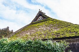 在這裡每個家都有自己專屬獨特的圖徽，熟悉的人一眼就知道這是誰家。