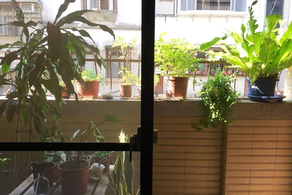 代人喜歡在家中以綠色植物布置居家，要避免將花草植物種在自己房間外面的陽台上（資料中心）