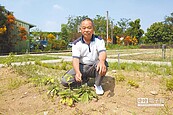 二崙村　用藥草推社造