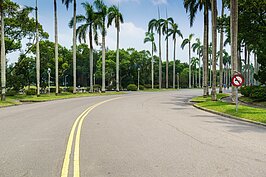 日治時代的台灣帝國大學，到光復之後的台灣大學。台大一詞代表著全國最高學府的神聖殿堂。這一條長長的椰林大道中孕育出不少專家，也見證很多歷史事件。如今成為當地居民休閒散心的最佳去處。