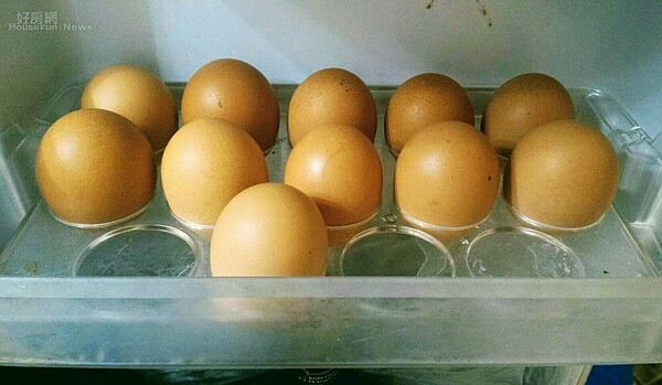 蛋 雞蛋 毒雞蛋 (好房網News林美欣攝影)