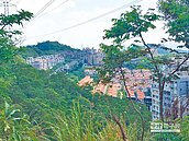 土城闢路直通新店　效益遭疑