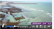 中油將在大潭藻礁區設接氣站　地方反彈