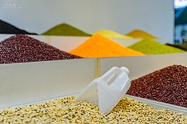 生活用品一應俱全的光明街，還有一間專賣五穀雜糧的「茂發雜糧行」。茂發雜糧行沒有傳統印象中雜糧行陰陰暗暗的陳舊感，而是一間色彩繽紛十分適合拍照充滿文青感的老店面。