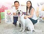 市府推廣認養　流浪犬守護校園