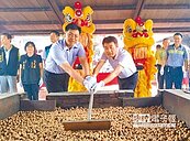 中寮龍眼文化季開幕　湧人潮