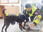 流浪狗變警犬　補警力不足
