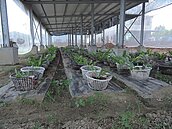 農委會：太陽能業者種電　不能再心存僥倖