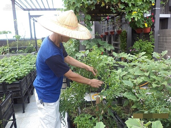 鄉林建設在諸多社區頂樓打造空中農場。(鄉林集團提供)