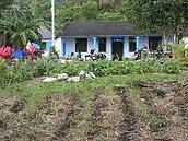 好狂！實價登錄備註欄　雞豬牛都出現