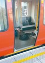 英國今年第5起恐攻！倫敦地鐵驚傳爆炸　22人傷