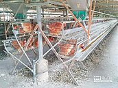 畜牧場藏住宅區　惡臭擾鄰