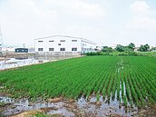 緩拆農地工廠　彰縣：中央不再堅持