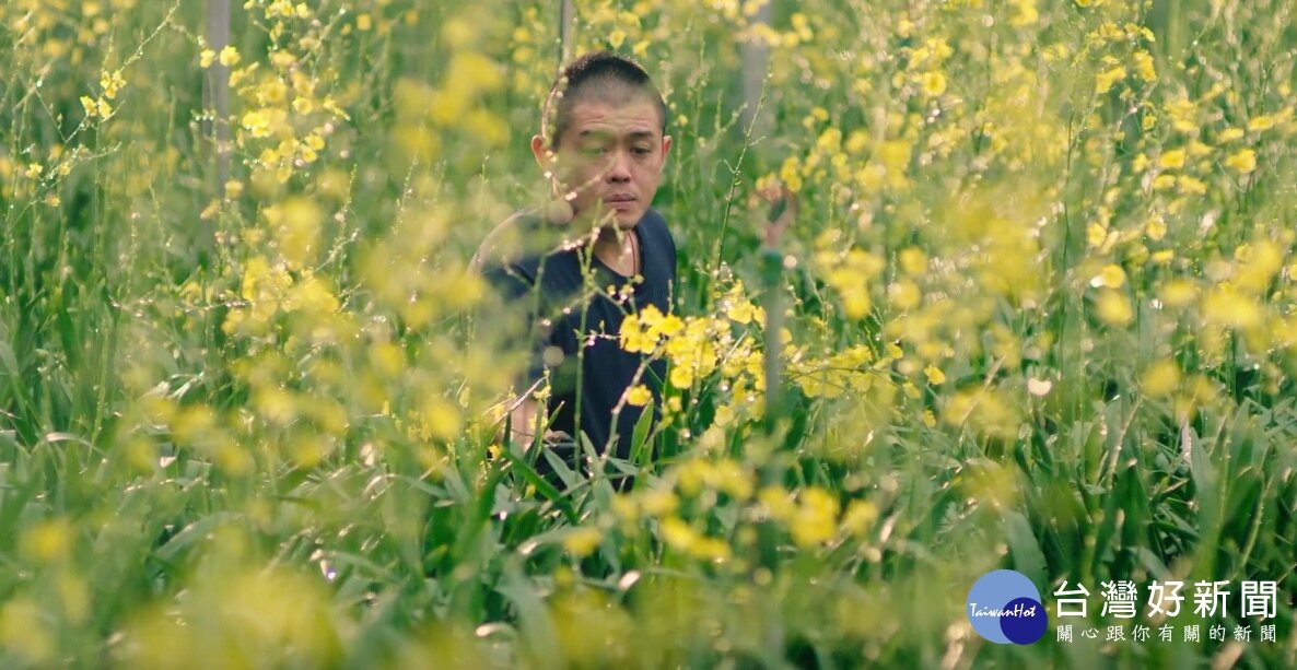 台中花博形象影片一公布即獲得迴響,讓民眾相當期待明年花博盛會。(台灣好新聞)