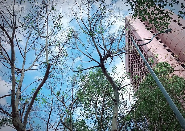 台北.仁愛圓環 看見城市的脈動