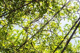 在這邊不僅要左右張望，更要抬頭看看。看看頭頂上的藝術作品。