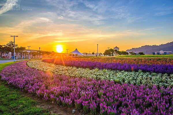 大佳河濱公園利用10萬盆草花打造花海,面積達3000平方公尺,至10月中旬是最佳觀賞期!(台北市政府提供)