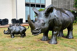 施力仁表示，人類為金錢、利益獵殺犀牛，所以黑色犀牛所表達就是人類的黑暗面。