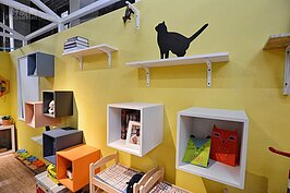 各種櫃子與木架交錯，不僅可以擺放物品，還為做為裝飾。