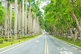 仁愛路四段街景。