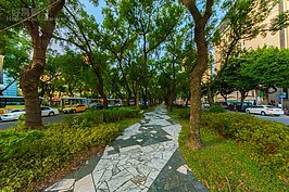 敦化南路林蔭道一景。