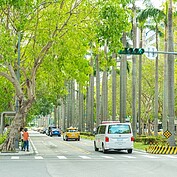 走在濃密樹蔭的仁愛路上，就算是酷熱的夏天，也能感受到些許清涼。