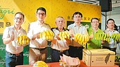 雲林蕉6公噸　首次進軍杜拜市場