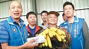 香蕉價崩　韓國瑜：未管制種苗