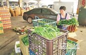台北農產運銷　幫不了蕉農