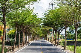 與其開著車來坑口彩繪村玩卻找不到車位，不如輕鬆搭著機場捷運來到這裡。一出站拐個彎，小型迷你的綠色隧道等著迎接貴客的到來。