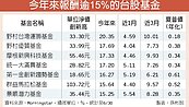 逾半台股基金　報酬率超過1成