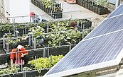 新北低碳社區分享　「節能從屋頂革命」