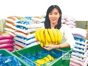 竹崎農會百周年　請吃500斤香蕉