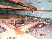 清清爽爽　居家不倒霉