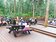 溪頭森林遊樂區增桌椅　體貼銀髮族